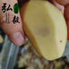 【弘毅六不用生态农场】六不用 土豆5斤/份 （山西基地） 商品缩略图4