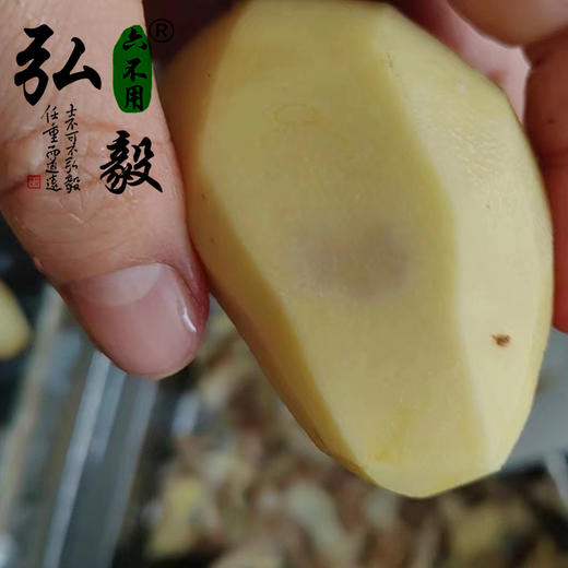 【弘毅六不用生态农场】六不用 土豆5斤/份 （山西基地） 商品图4