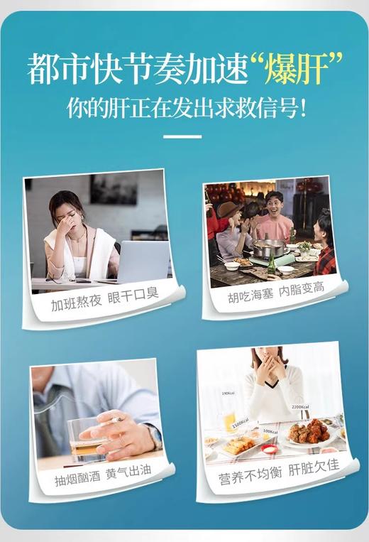 汪氏蜂胶葛根胶囊 商品图1