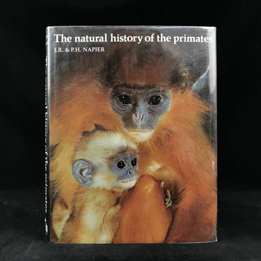 灵长类动物自然史 百余幅插图 精装16开 商品图0