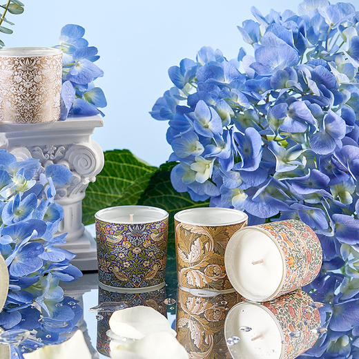 V&A博物馆 威廉·莫里斯系列 香薰蜡烛 香氛盲盒 摆件 商品图1