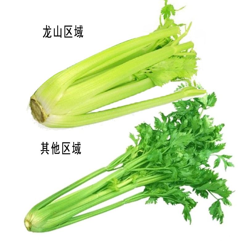 芹菜 约400g/份