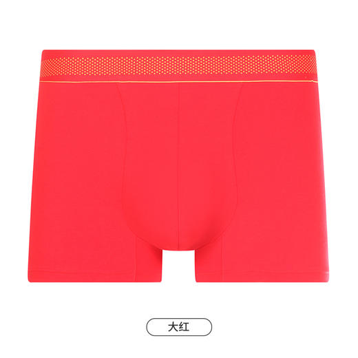 都市丽人都市锋尚简约基础内裤男40S棉拉架男士内裤平角内裤FK4CB2 商品图9