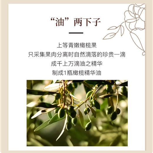 依风按摩润肤橄榄油 135ML/瓶 补水保湿 温和滋养护肤 持久保湿不油腻 不添加香精防腐剂 全身可用 商品图4