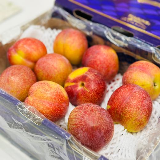 澳洲珠宝李（5个/盒） 商品图0