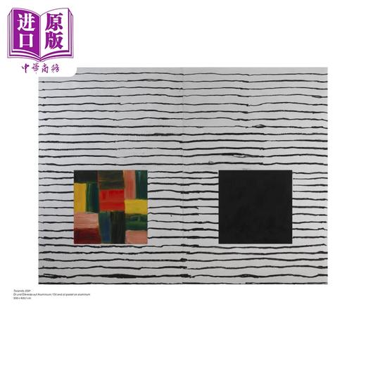 【中商原版】Sean Scully (Bilingual Ed) Song Of Colors 进口艺术 肖恩·斯库利（双语版）：色彩之歌  商品图3