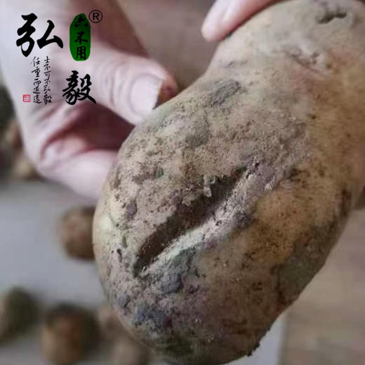 【弘毅六不用生态农场】六不用 土豆5斤/份 （山西基地） 商品图1