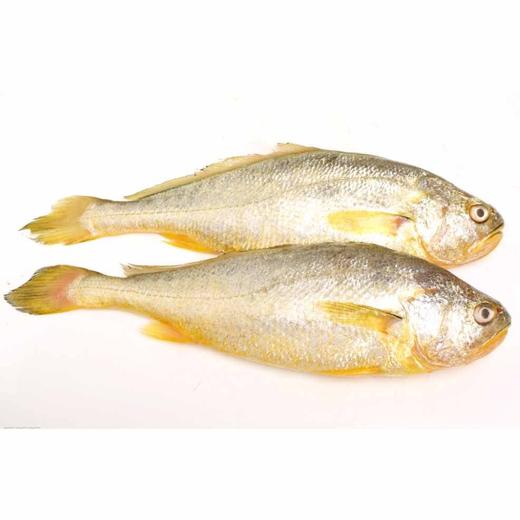 黄花鱼550g-650g/条 商品图0