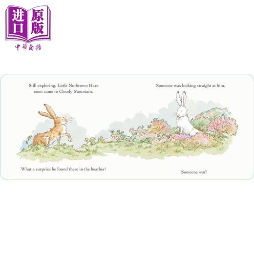 【中商原版】你愿意做我的朋友吗 Will You Be My Friend 英文原版 儿童纸板书 动物友谊故事 亲子读物 名家精品绘本 进口图书 商品图4