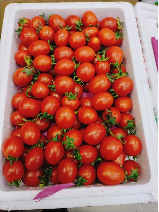 圣女果柿子2斤 商品图3