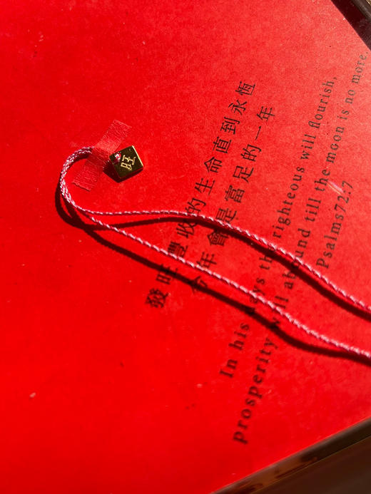 Project Lazarus | TOO COOL 美 吉 发 旺 商品图1