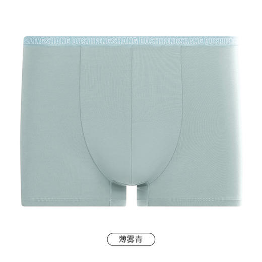 都市丽人都市锋尚简约基础内裤男40S棉拉架男士内裤平角内裤FK4CC8 商品图11