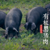 伟诗优选 | 有机黑猪肉 商品缩略图0