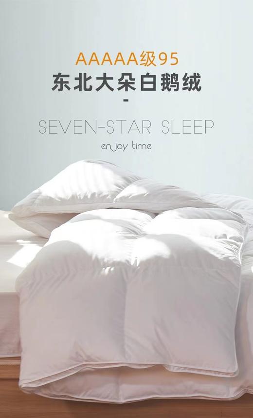 汉姿抗菌防螨鹅绒冬被芯 商品图1