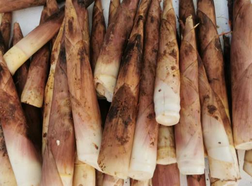 雷笋（500g） 商品图1