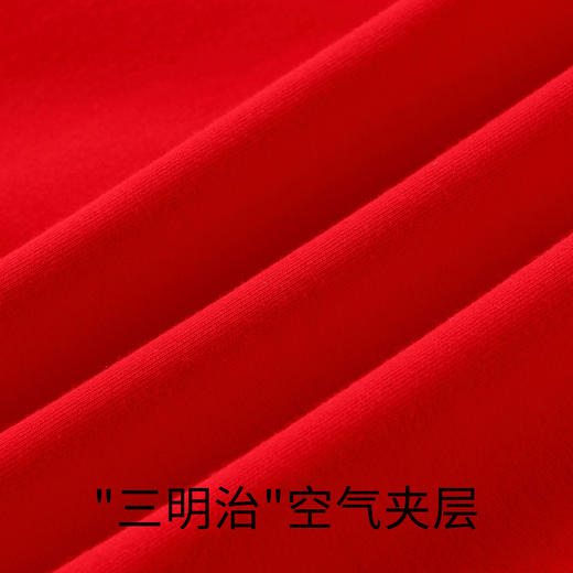 【实体店同款】男童卫衣秋新款休闲长袖儿童上衣安奈儿童装AB311535 商品图3