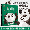 中国符号系列：东方有龙+大熊猫_HLY 商品缩略图6