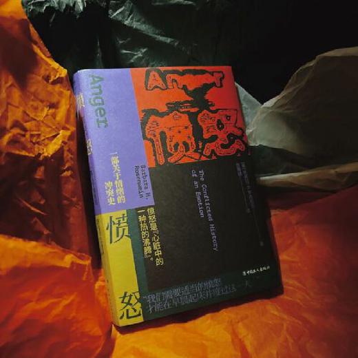 愤怒：一部关于情绪的冲突史(芭芭拉·H.罗森宛恩 著) 商品图3