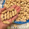 【闽西特产】正宗龙岩湿烤花生 商品缩略图8