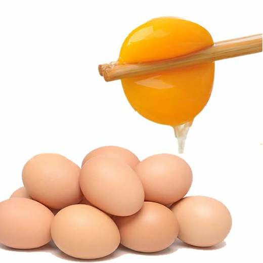 琼艺河南五谷初生鸡蛋10枚装宝宝吃鸡蛋约400克 商品图1