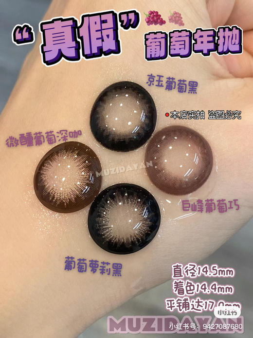 【本店实拍】Sheepcon-偏大款/葡萄系列-14.5mm 【年抛 度数0-1000度 含525/575 】 商品图0