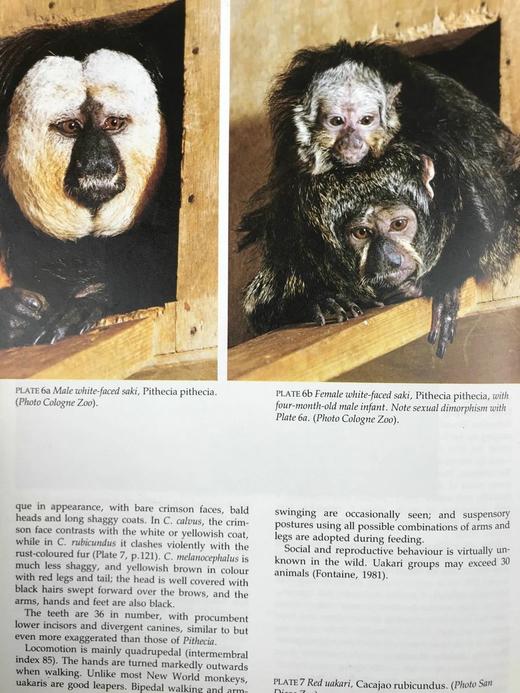 灵长类动物自然史 百余幅插图 精装16开 商品图9