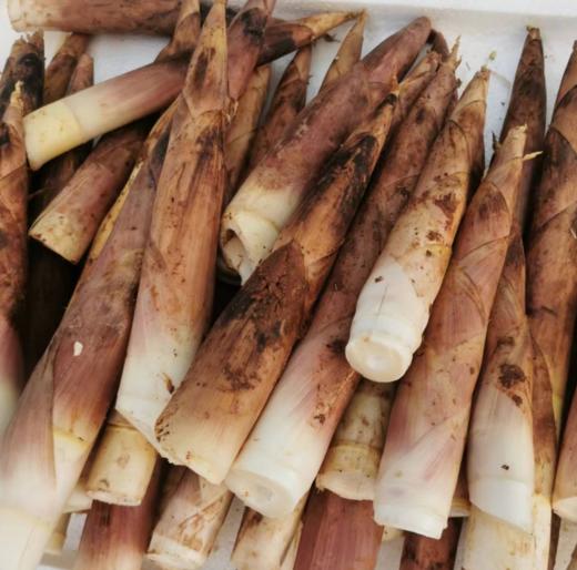 雷笋（500g） 商品图0