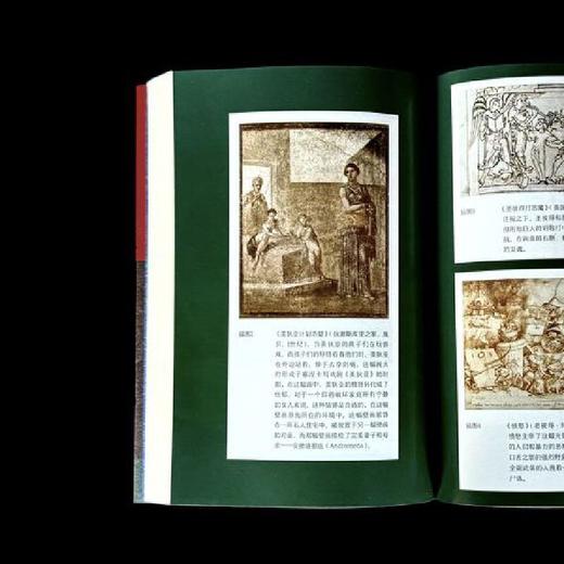 愤怒：一部关于情绪的冲突史(芭芭拉·H.罗森宛恩 著) 商品图4