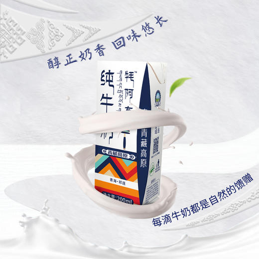 天境雪域纯牛奶 青海祁连天境牧场营养早餐奶 商品图2