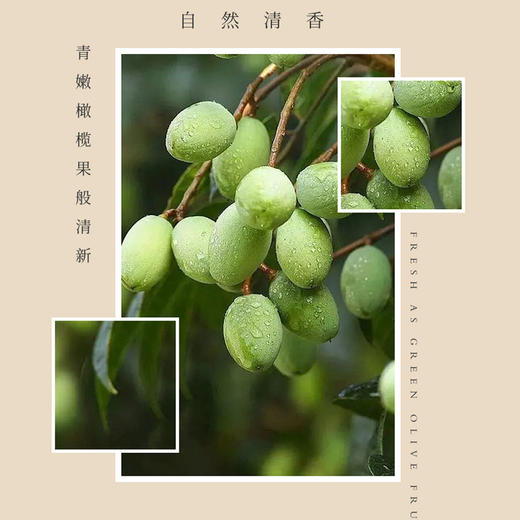 依风深层滋润护手霜 商品图3