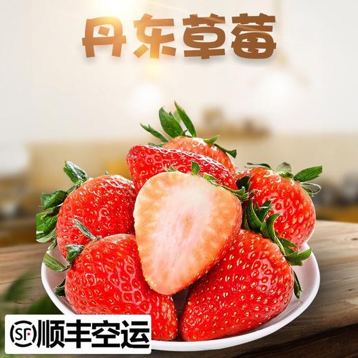 【顺丰空运】正宗丹东东港99奶油大草莓红颜孕妇九九牛奶草莓 新鲜水果 商品图0