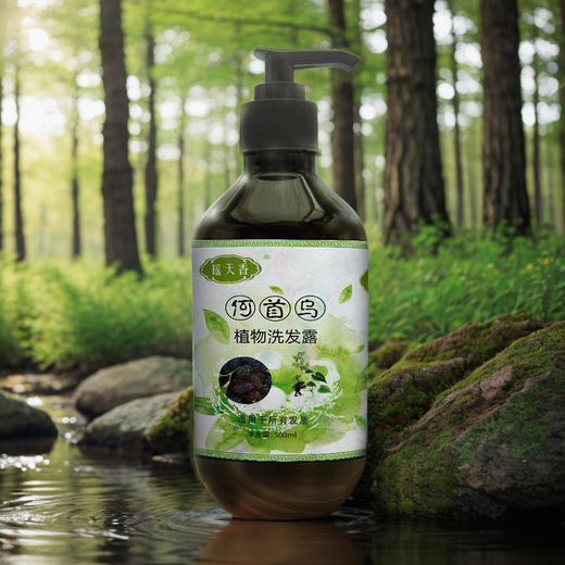 包邮 何首乌植物洗发露  500ml/瓶  | 瑶天香 商品图1