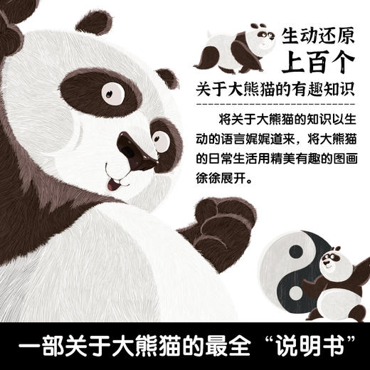中国符号系列：东方有龙+大熊猫_HLY 商品图10