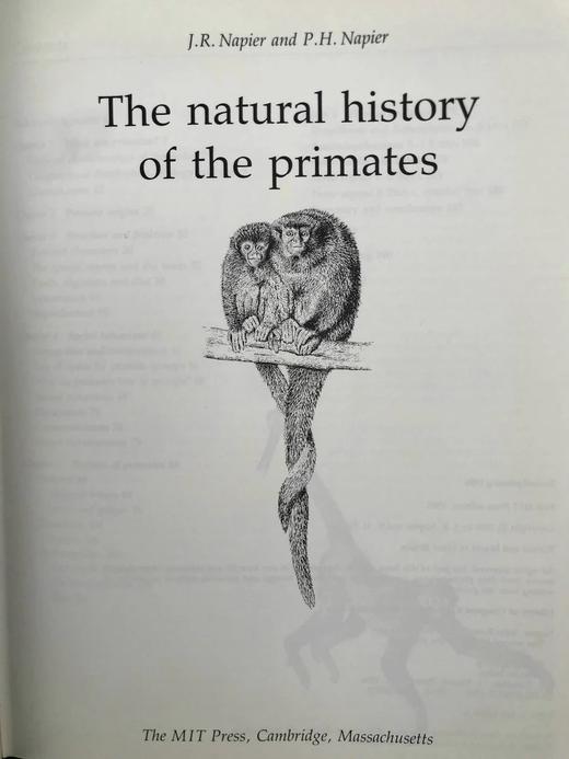 灵长类动物自然史 百余幅插图 精装16开 商品图3