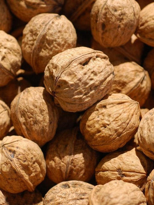 元鹭核桃粉礼盒/元鹭健康礼盒 商品图8