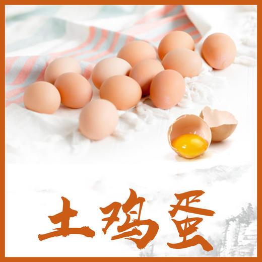 琼艺河南五谷初生鸡蛋10枚装宝宝吃鸡蛋约400克 商品图4