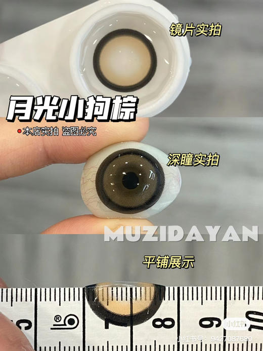 【本店实拍】Sheepcon-偏大款/月光狗狗眼系列-14.5mm 【年抛 度数0-1000度 含525/575 】 商品图1