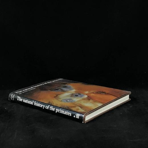 灵长类动物自然史 百余幅插图 精装16开 商品图1