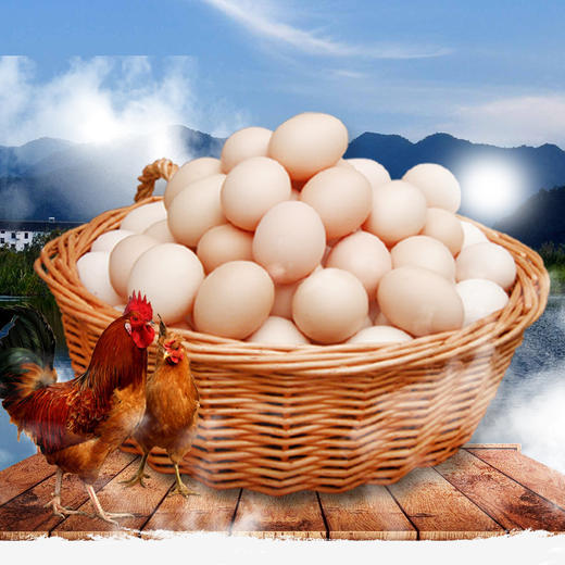 琼艺河南五谷初生鸡蛋10枚装宝宝吃鸡蛋约400克 商品图3