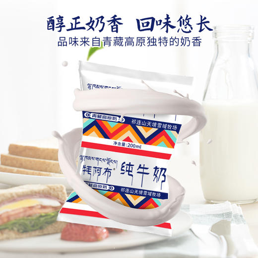 天境雪域纯牛奶 青海祁连天境牧场营养早餐奶 200ml*12袋 商品图1