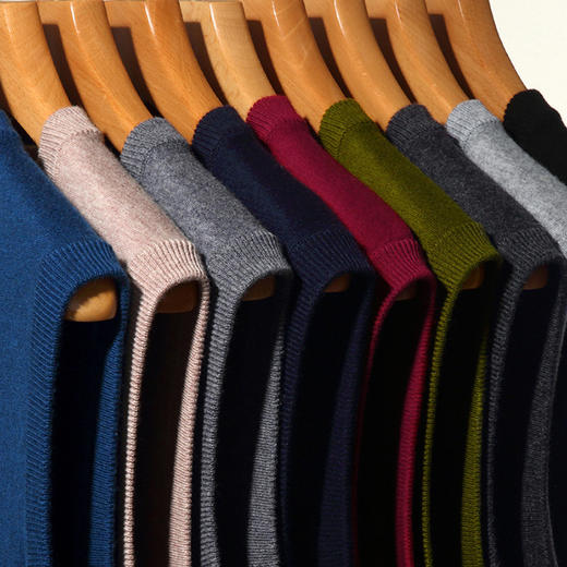 红览羊毛背心男士时尚冬季休闲V领男装无袖打底衫羊毛衫马甲毛衣男ALMQD001 商品图1