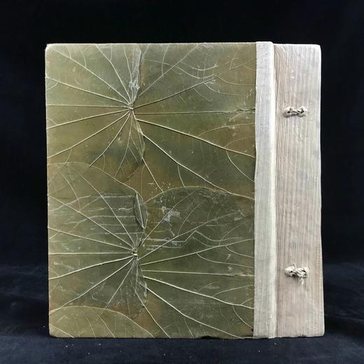 1942年 玛格丽特·塔兰特《乡间花草树木图集》 数十幅彩色插图 手工特装剪贴簿 商品图1