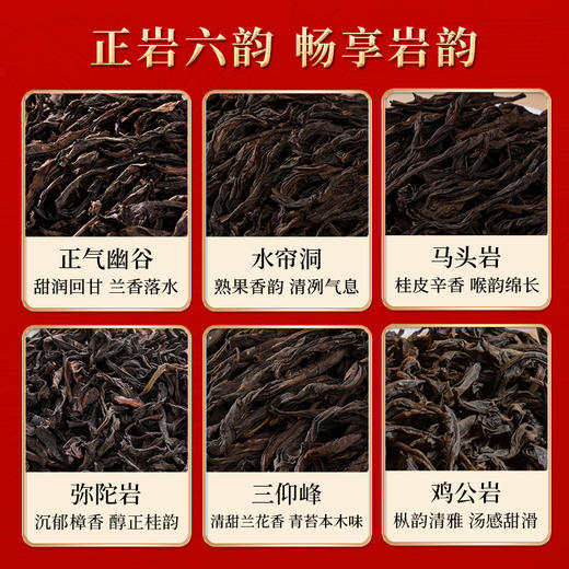 岩语 游龙惊鸿礼盒装 武夷岩茶特级正宗正岩肉桂茶叶组合装送礼51g 商品图5