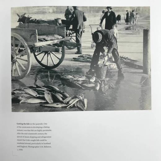 爱尔兰人摄影史，1840-1940年 271幅插图 精装16开 商品图12