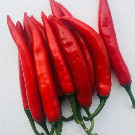 红美人椒100g-150g/份 商品图0