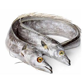 国产鲜带鱼500g-700g/条