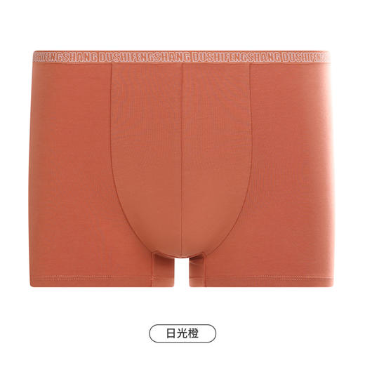都市丽人都市锋尚简约基础内裤男40S棉拉架男士内裤平角内裤FK4CC8 商品图12