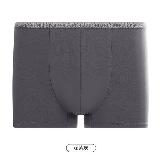都市丽人都市锋尚简约基础内裤男40S棉拉架男士内裤平角内裤FK4CC8 商品图9