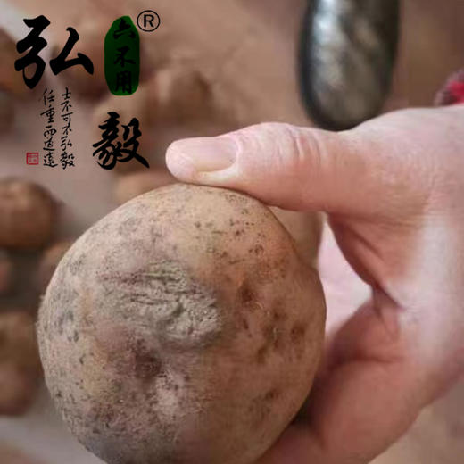 【弘毅六不用生态农场】六不用 土豆5斤/份 （山西基地） 商品图2