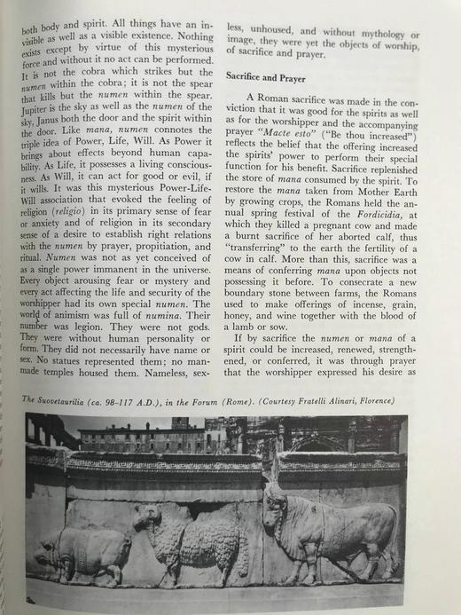 罗马民族史 约百幅插图 精装16开 商品图11